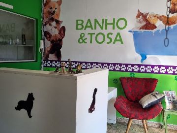 CASA 1