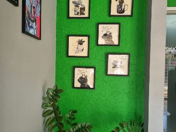 CASA 1