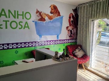CASA 1