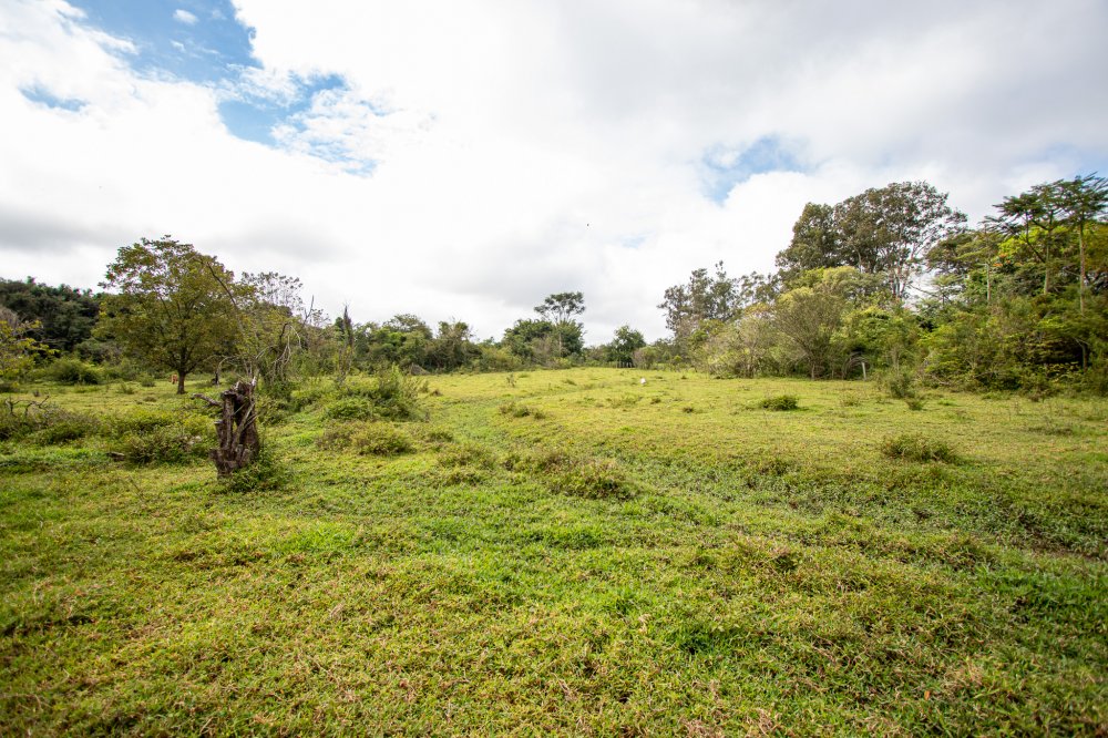 Stio - Venda - Bairro do Pinhal - Limeira - SP