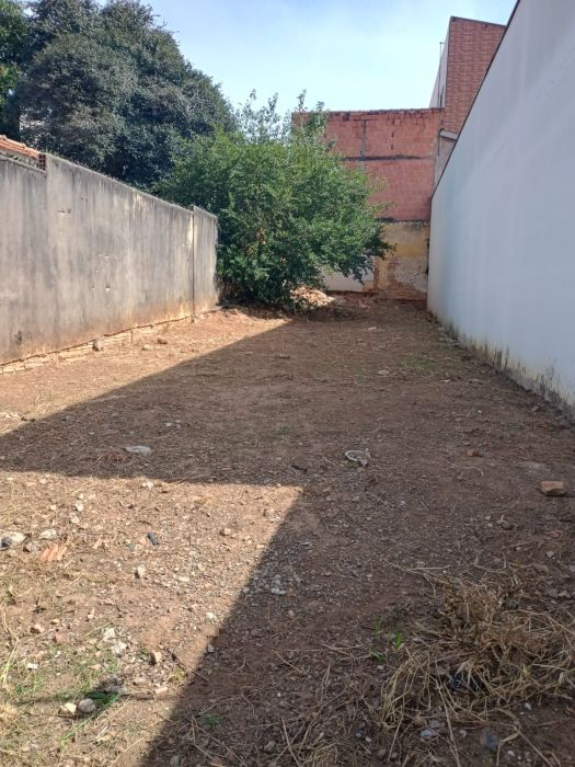 Terreno - Aluguel - Vila Cláudia - Limeira - SP