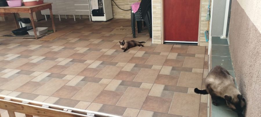 Casa - Venda - Jardim Caieira - Limeira - SP