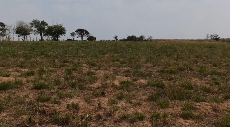 Terreno - Venda - Bairro dos Frades - Limeira - Arthur Nogueira - Limeira - SP