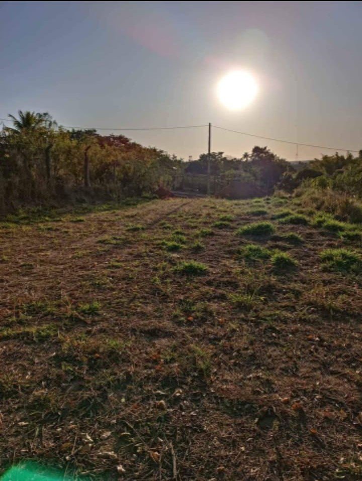 Terreno - Venda - Bairro dos Pires - Limeira - SP