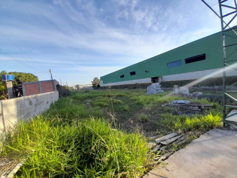 Terreno - Aluguel - Jardim Nova Limeira - Limeira - SP