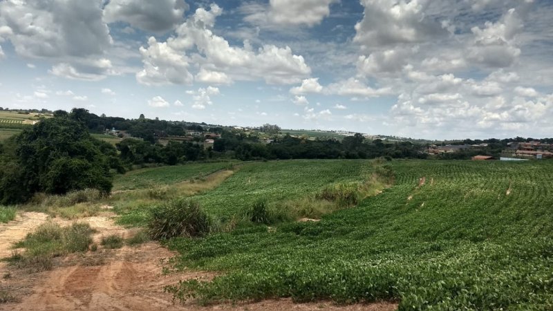 Terreno - Venda - Bairro do Pinhal - Limeira - SP