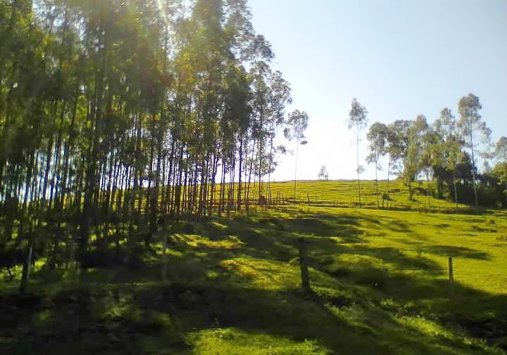 Stio - Venda - Centro (rtemis) - Piracicaba - SP