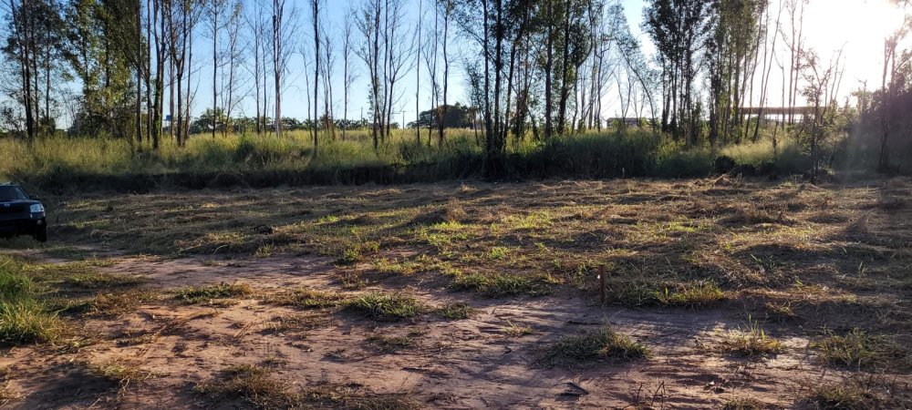 Terreno - Venda - Pinhal - Limeira - SP