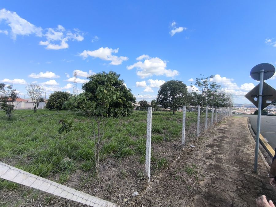 Terreno - Venda - Jardim Hortncia - Limeira - SP