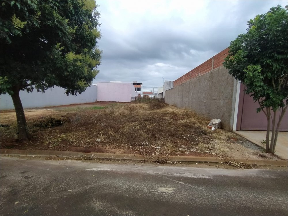 Terreno - Venda - Residencial Paineiras - Iracempolis - SP