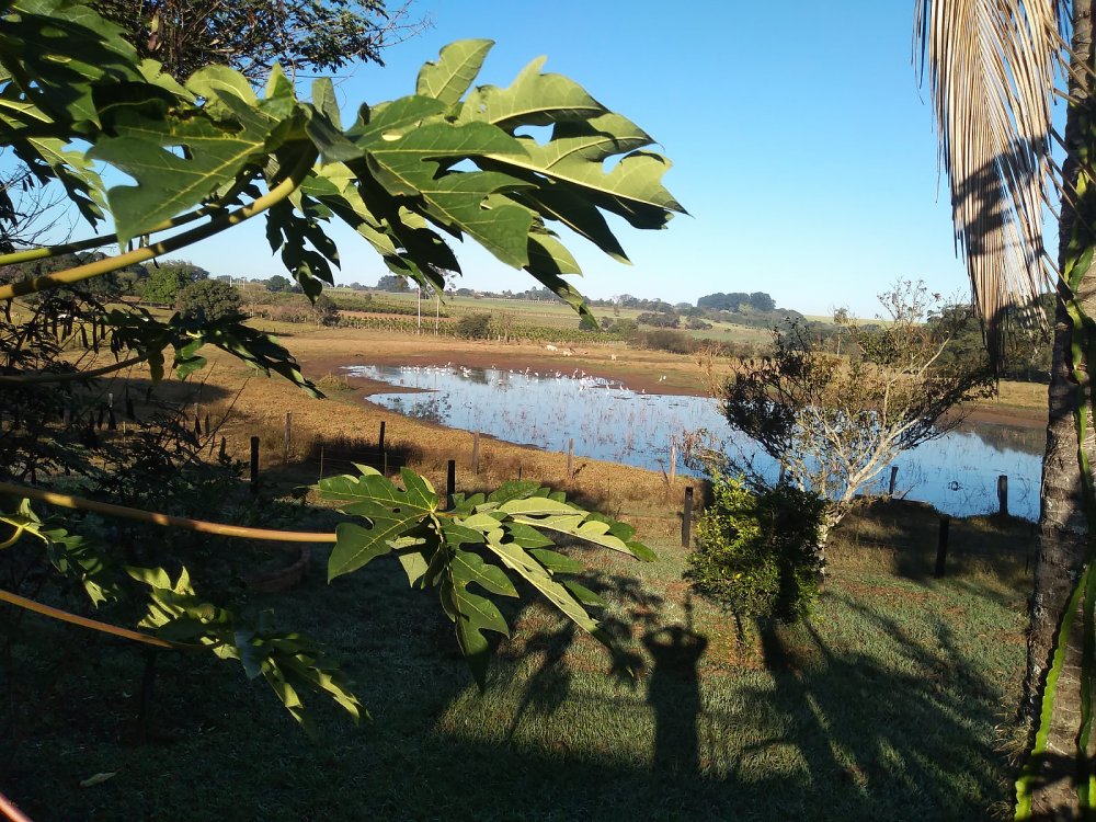 Stio - Venda - Bairro dos Frades - Limeira - Arthur Nogueira - Limeira - SP