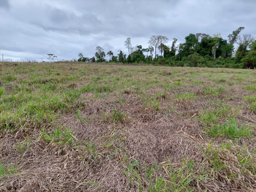 Terreno - Venda - rea Rural de Limeira - Limeira - SP