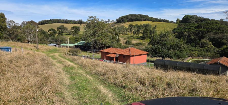 Fazenda - Venda - Regi�o Campestrino - Andradas - (M