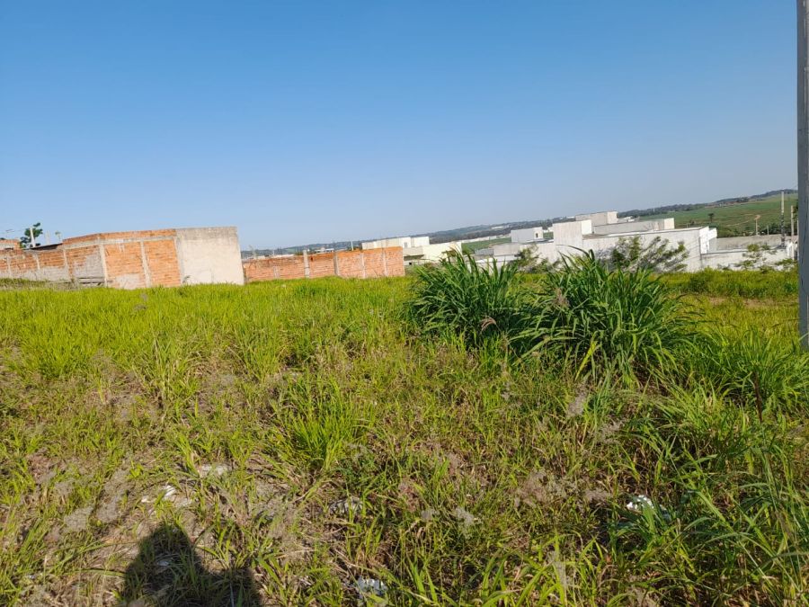 Terreno - Aluguel - Jardim Marajoara - Limeira - SP