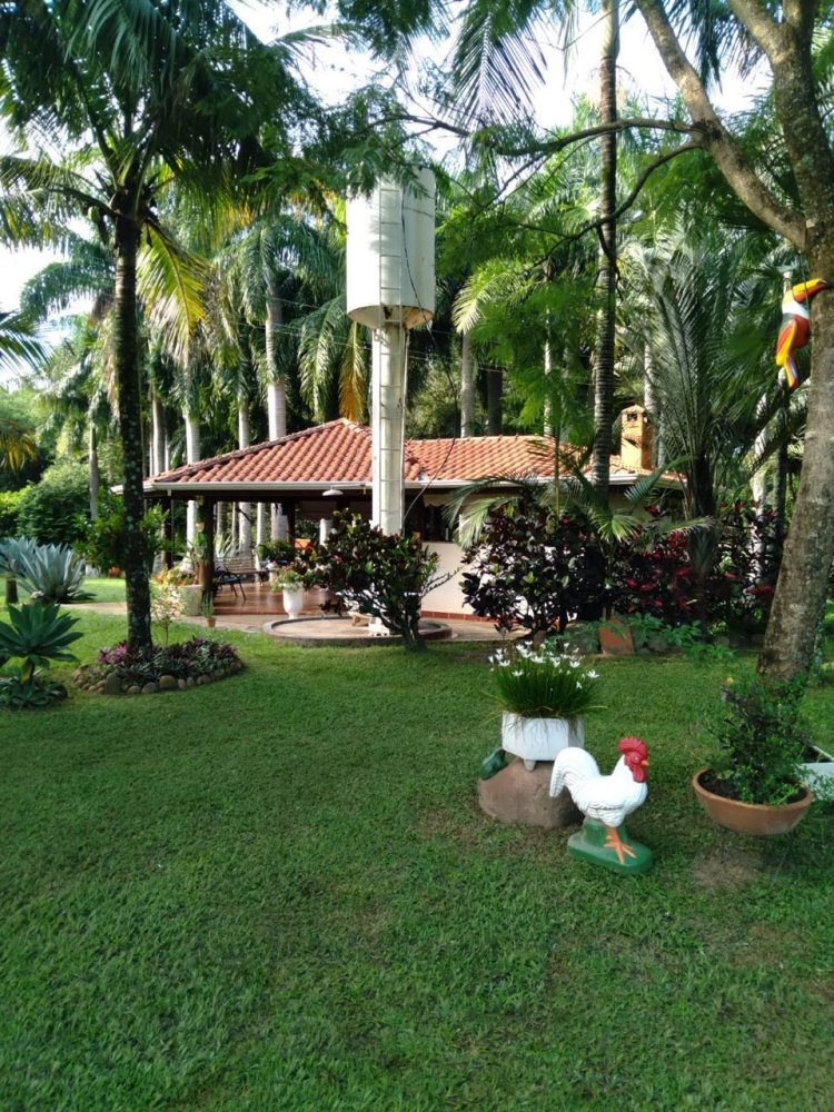 Stio - Venda - rea Rural de Limeira - Limeira - SP