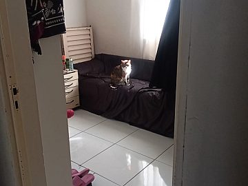 APARTAMENTO � VENDA